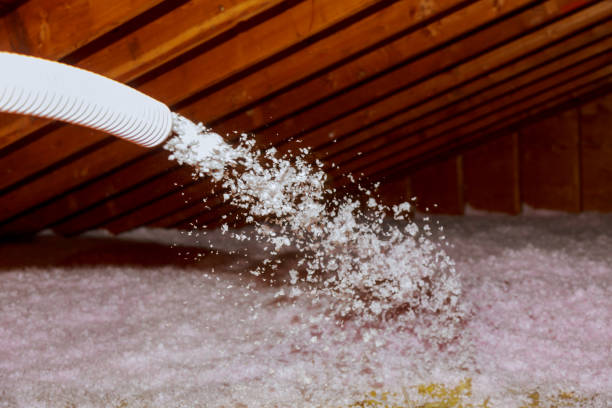 Best Spray Foam Insulation in Rollingwood, TX