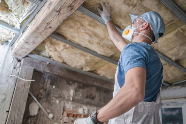 Best Cellulose Insulation in Rollingwood, TX