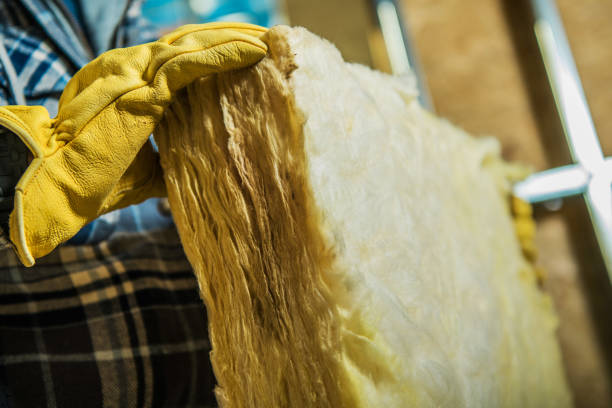 Best Eco-Friendly Insulation in Rollingwood, TX