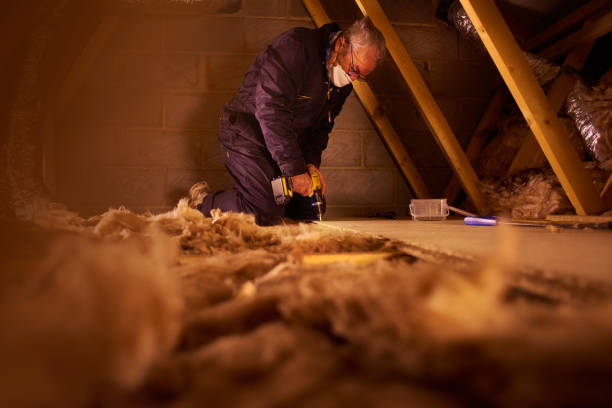 Types of Insulation We Offer in Rollingwood, TX